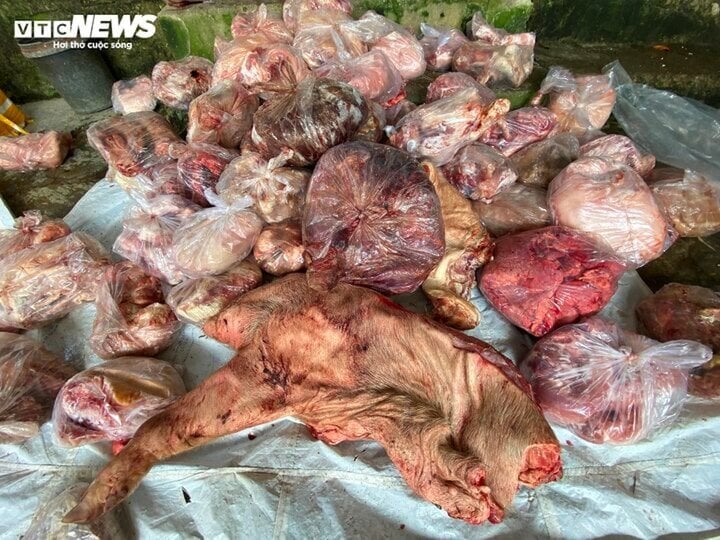 3 tấn thịt đông lạnh bốc mùi ở Huế: Có mẫu nhiễm Ecoli gấp 60 lần mức cho phép